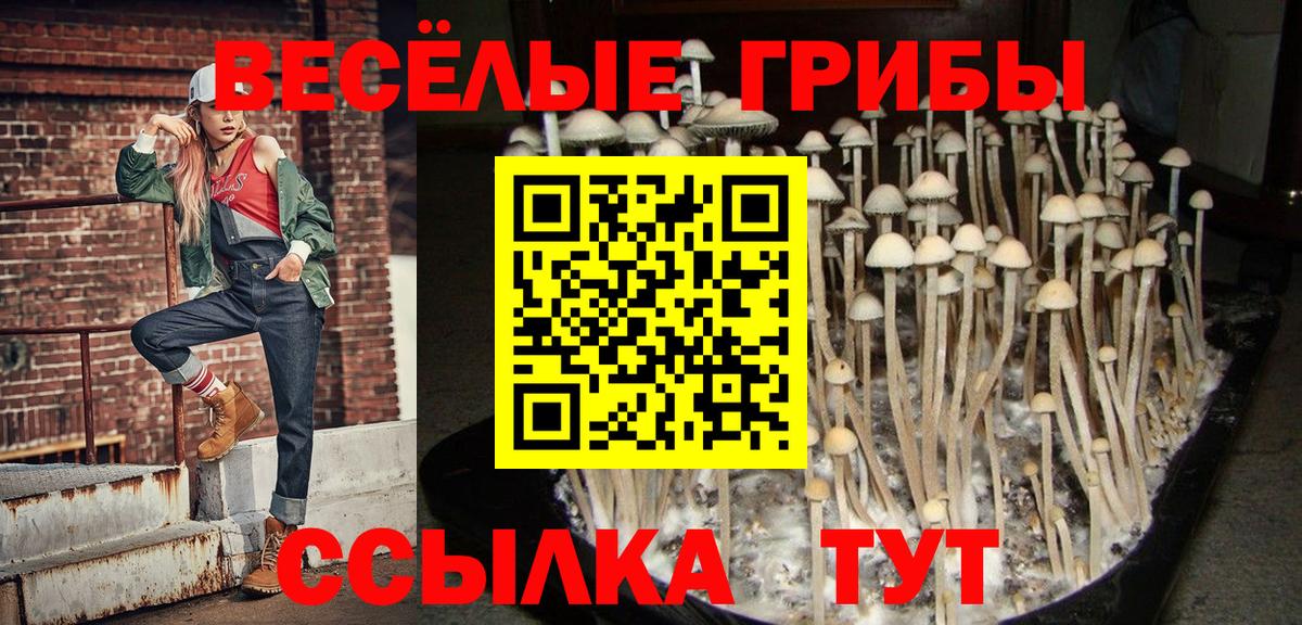 МЕФ   ГАШИШ  Красноармейск  МАРИХУАНА  Наркошоп  ГАШ  Лсд 25 