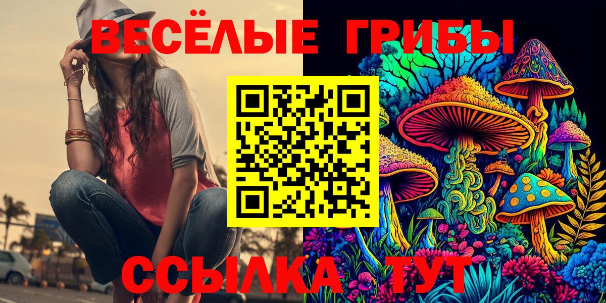 Красноармейск  Псилоцибиновые грибы GOLDEN TEACHER  Псилоцибиновые грибы мухоморы  Вход с VPN 